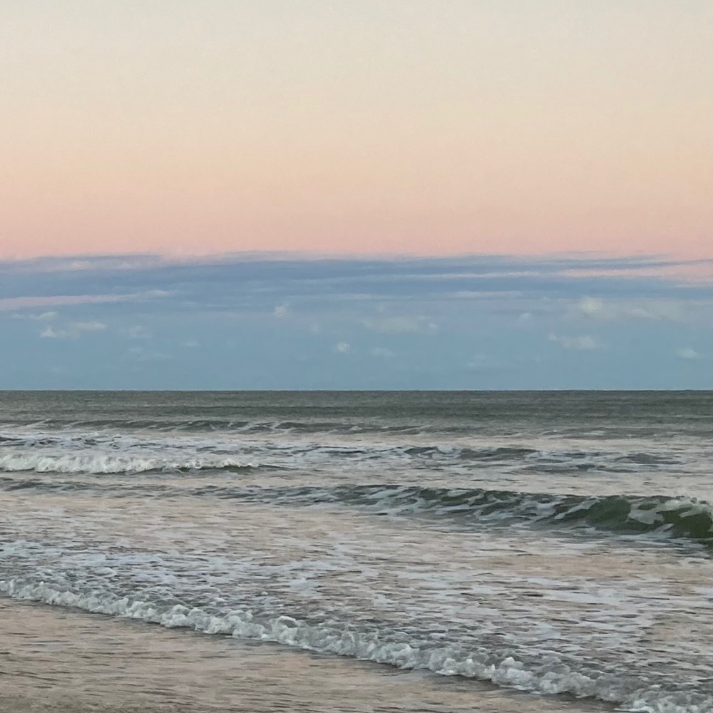 Meet your Posher, Ella